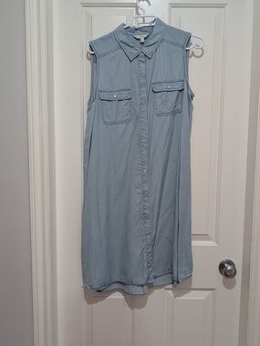Ripe Chambray Maternity Dress Button Down